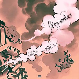 Gewoontes (Explicit)