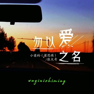 勿以爱之名 (DJ版)