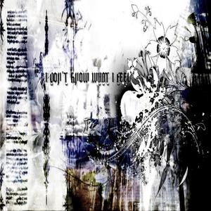 I don't know what i feel (feat. kittylvr) (Explicit)