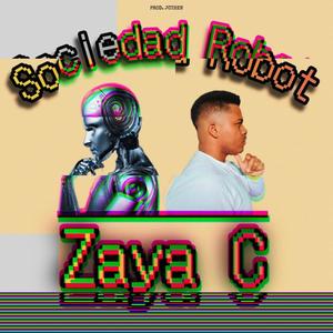 Sociedad Robot