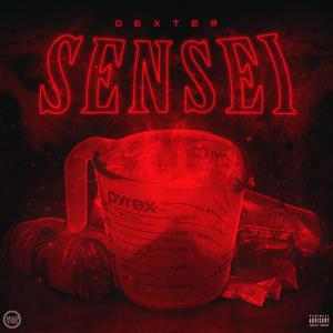 Sensei (Explicit)