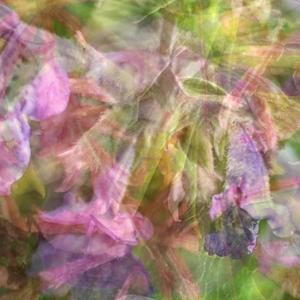 Taking Photos & Giving Them Away (Explicit)