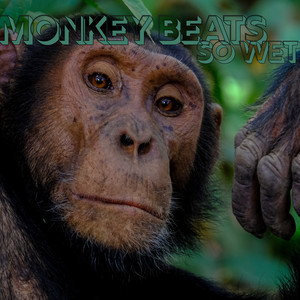 Monkey Beats EP