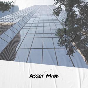 Asset Mind