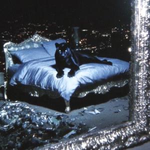 Dinero Sobre Putas (Explicit)