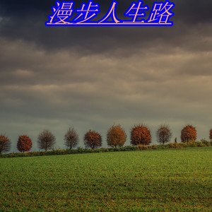 莫问归期 (DJ版)
