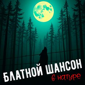 Блатной шансон в натуре (Explicit)