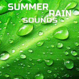 Summer Rain Ambience(feat. Meditation Therapy, Everyday Sounds, Universal Nature Soundscapes, Nature Sounds TV, Nature Scapes TV & Sleeping Sounds) (White Noise Remix)