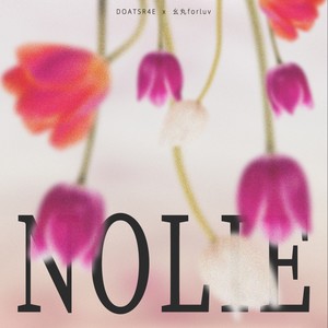诚实点NOLIE (伴奏)