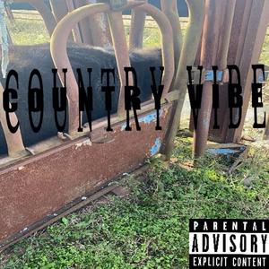 Country Vibe (Explicit)