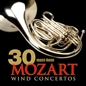 Horn Concerto No. 3 in E-Flat Major, K. 447 - II. Romance - Larghetto (降E大调第3号圆号协奏曲，作品447 - 第二乐章 回旋曲 - 小广板)