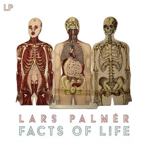 Lars Palmér - Good Enough