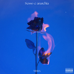 Sesso e anarchia (Explicit)