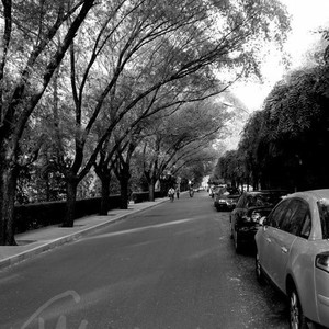 回忆在转瞬之间