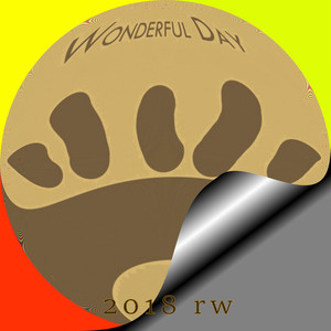 Wonderful Day (Original Mix)