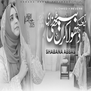 Aa Meda Dhola Karan Bethi Zari (Lofi-Mix)