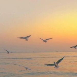 再见深海 (微亮的瞬间)