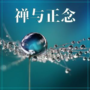 禅与正念：最佳的冥想音乐，平静的音乐