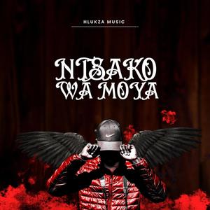 Impilo (feat. Cleopatra & Kailey Botman)