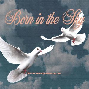 Born In The Sky (Explicit)