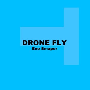 Drone fly