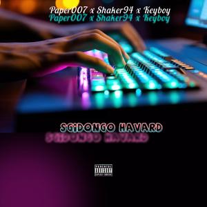Sgidongo Havard (feat. Shaker94 & Keyboy)