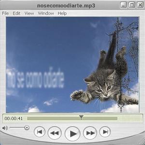 no se como odiarte : (₊˚✩