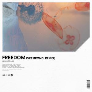 Freedom (feat. OMZ) (Vee Brondi Extended Remix)