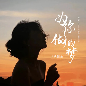 为你做的梦
