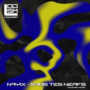 Sans Tes Nerfs (Liquidism Remix) [Explicit]