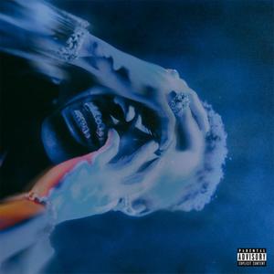 TRIP(feat. Boslen) (Explicit)