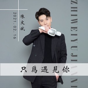 只为遇见你