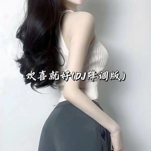 Geemini - 欢喜就好 (DJ降调版)