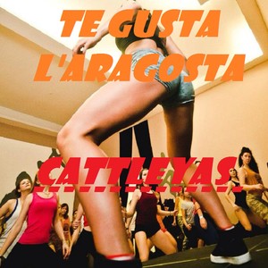 TE GUSTA L' ARAGOSTA (Baila Baila Baila)