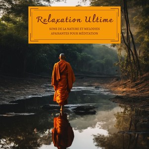 Vagues douces de l'océan