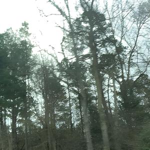 tru2me (feat. Chris Celestial) (Explicit)