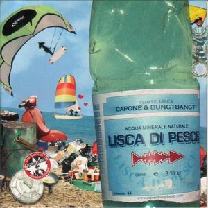 Lisca di pesce