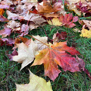 AUTUMN COLORS (Höstfärger) (feat. Marcus Måttgård)