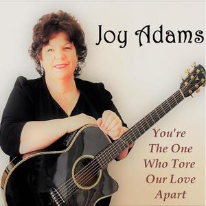 YOU'RE THE ONE WHO TORE OUR LOVE APART