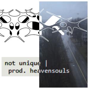 not unique (feat. heavensouls) (Explicit)