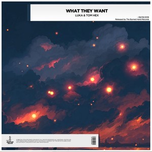What They Want (Original Mix)