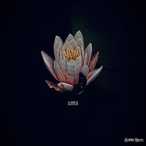 Crown (Explicit)