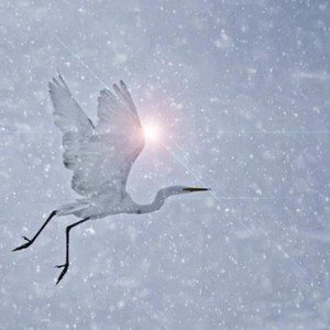 晴如雪 (伴奏)