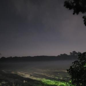 Telepatía (Explicit)