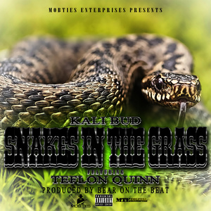 Snakes in the Grass (feat. Teflon Quinn)