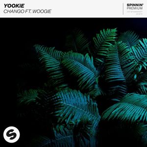 Chango(feat. Woogie) (Extended Mix)