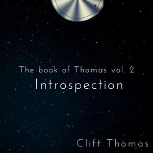 The book of Thomas Vol. 2: Introspection