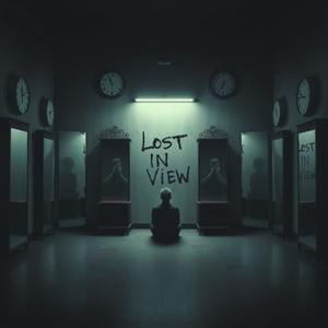 Lost In View