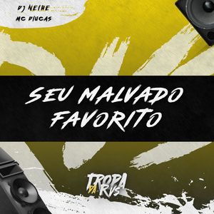 SEU MALVADO FAVORITO (Explicit)