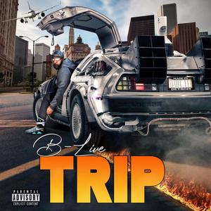 TRIP (Explicit)